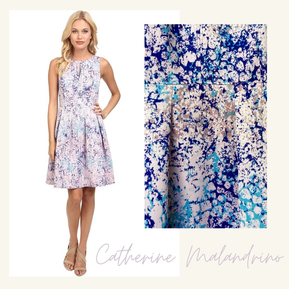 Catherine Malandrino “Magda” Blossom Fit & Flare Structured Dress – Pink & Blue